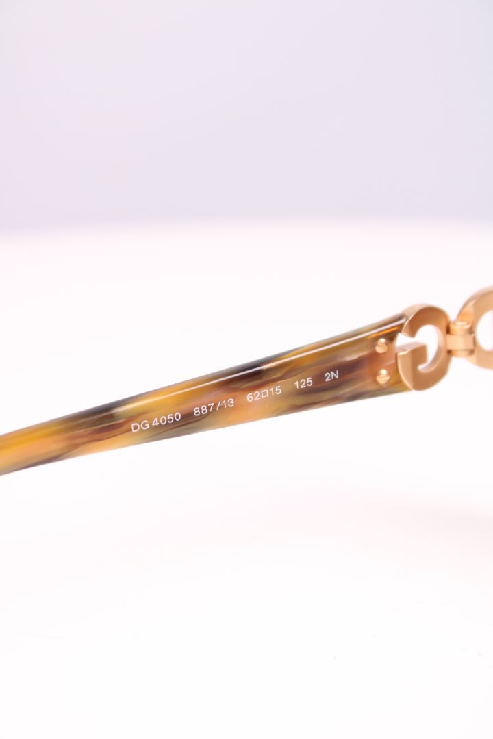 Dolce & Gabbana Sunglasses Brown
