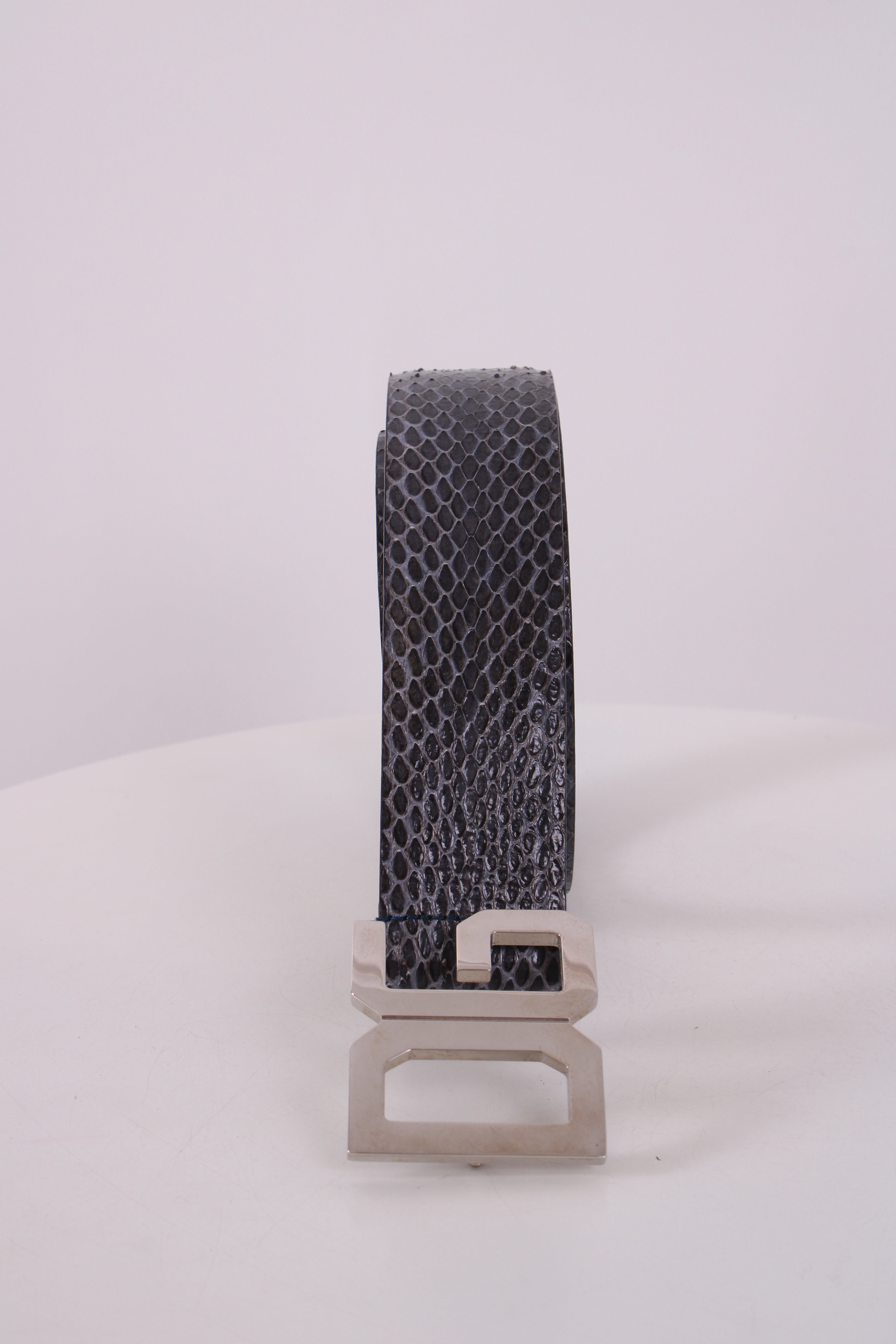 D&G Belt Blue 36inch