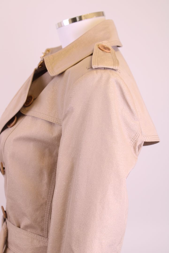 Burberry Trench Glitter 6