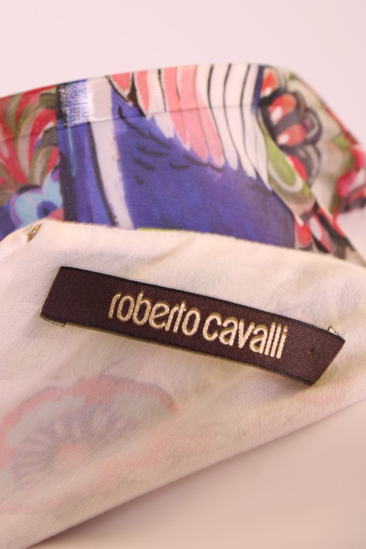 Roberto Cavalli Dress Multicoloured 10