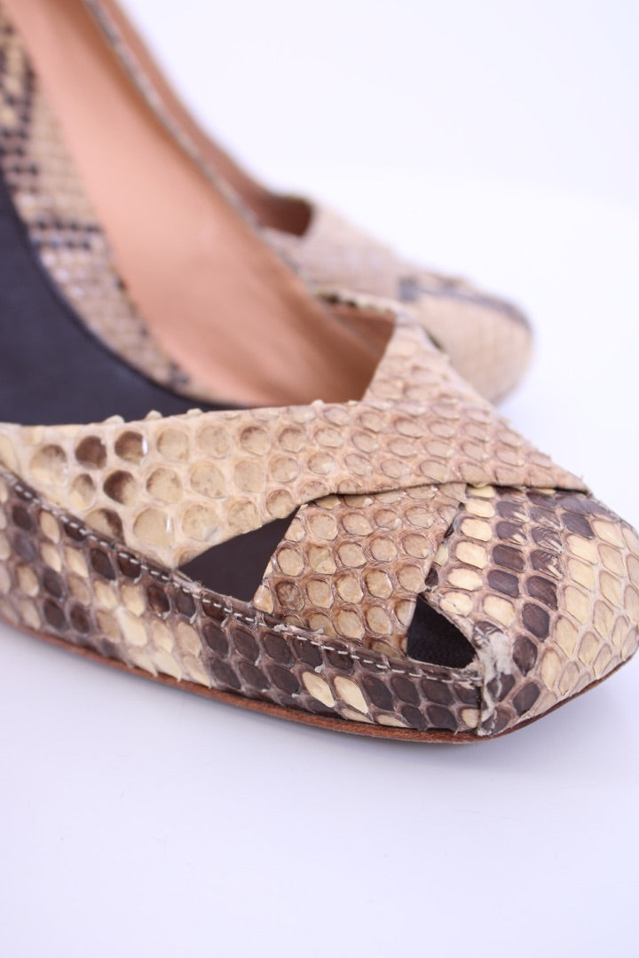 Sergio Rossi Python Square toe heels Snakeskin 39