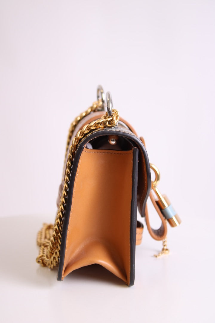 Snake Print Chloe Aby bag