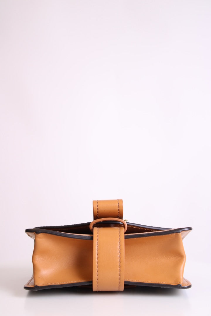 Snake Print Chloe Aby bag