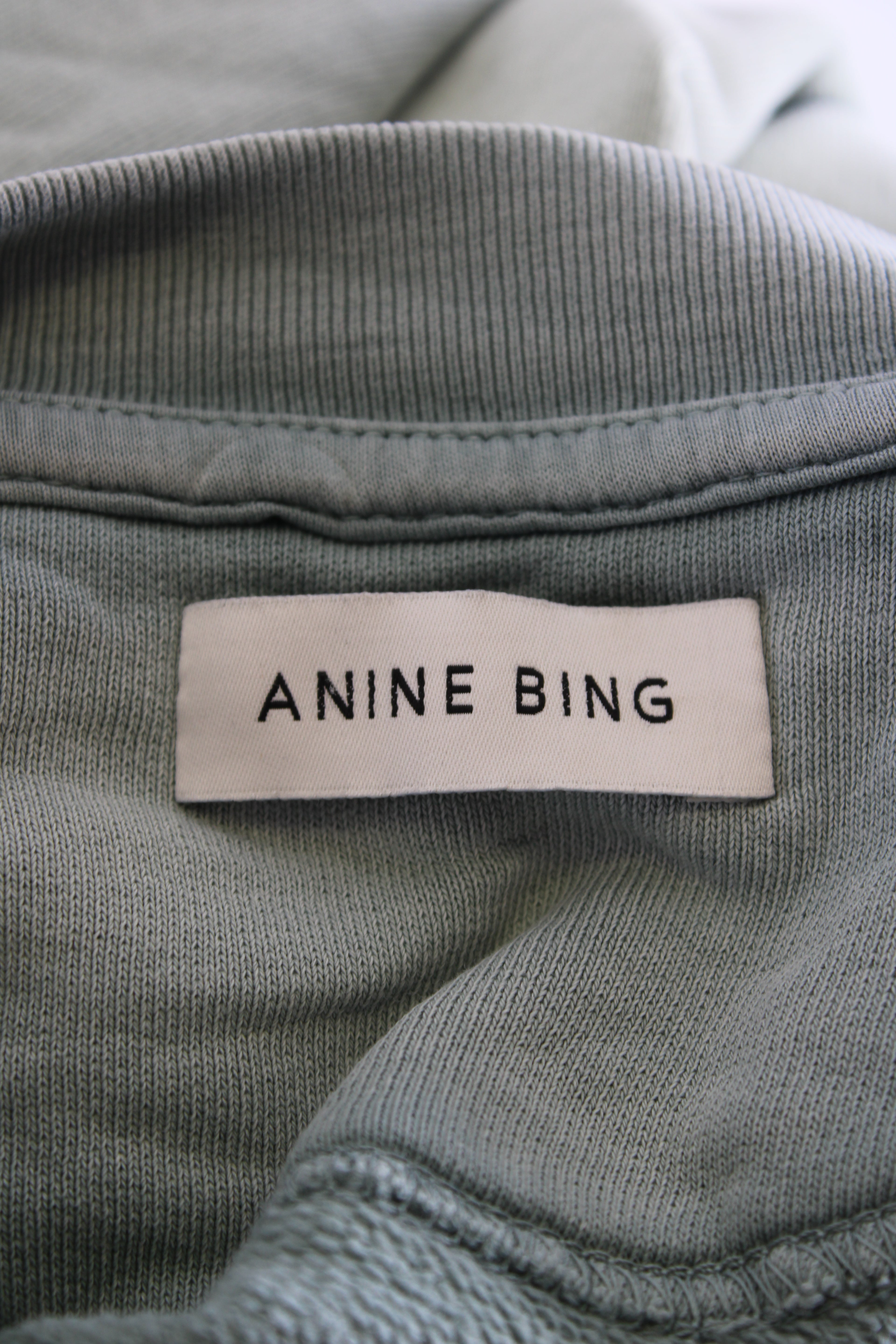 Anine Bing Logo Sweatshirt Mint M
