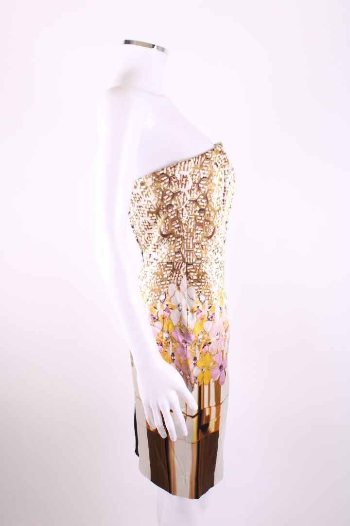 Mary Katrantzou Dress Gold Print 12