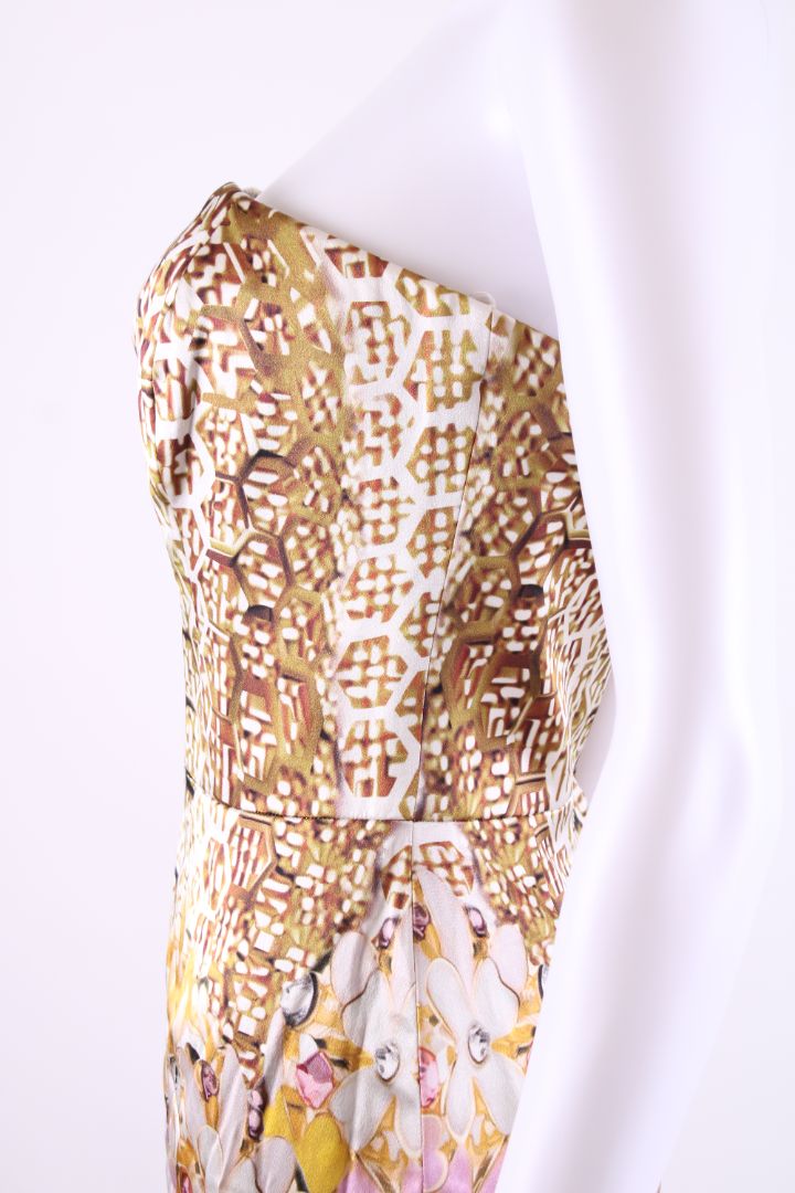 Mary Katrantzou Dress Gold Print 12