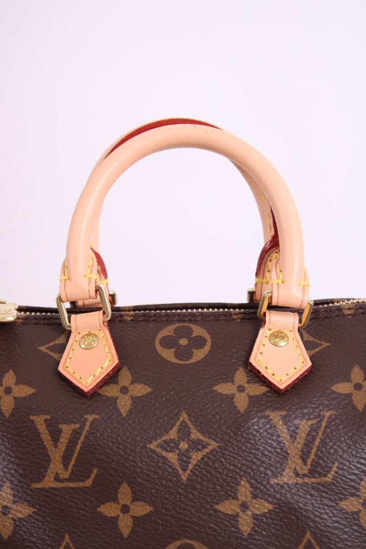 Louis Vuitton 2019 Nano Speedy Bag Brown Monogram