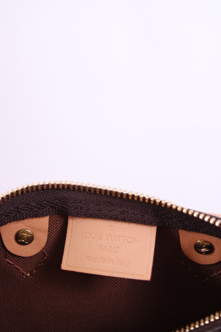 Louis Vuitton 2019 Nano Speedy Bag Brown Monogram