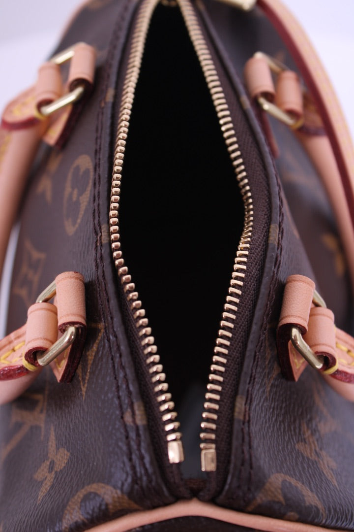 Louis Vuitton 2019 Nano Speedy Bag Brown Monogram