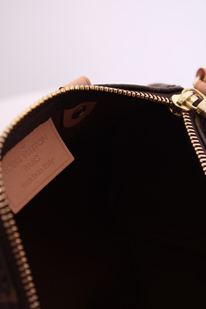 Louis Vuitton 2019 Nano Speedy Bag Brown Monogram