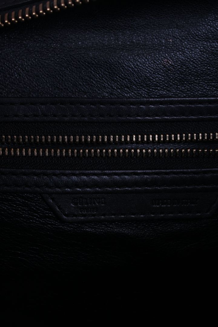 Celine Phantom Luggage Python