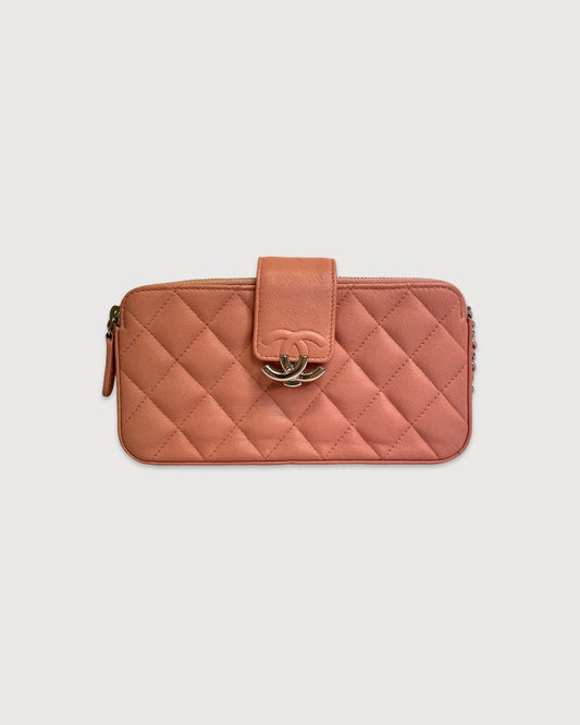 Pink Chanel Bag