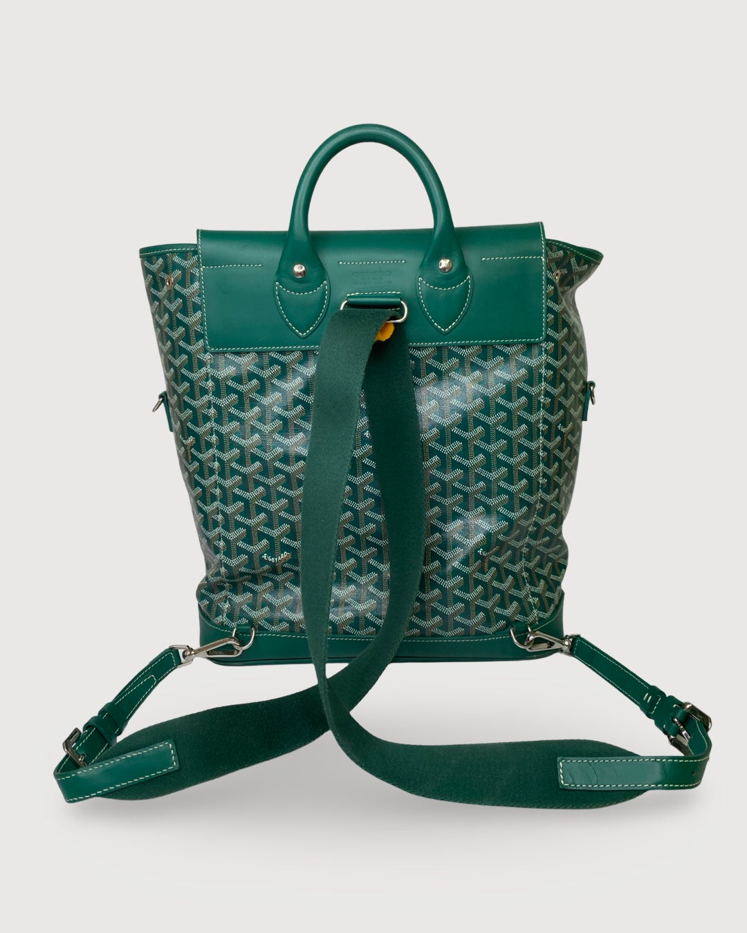 Goyard Rucksack Green