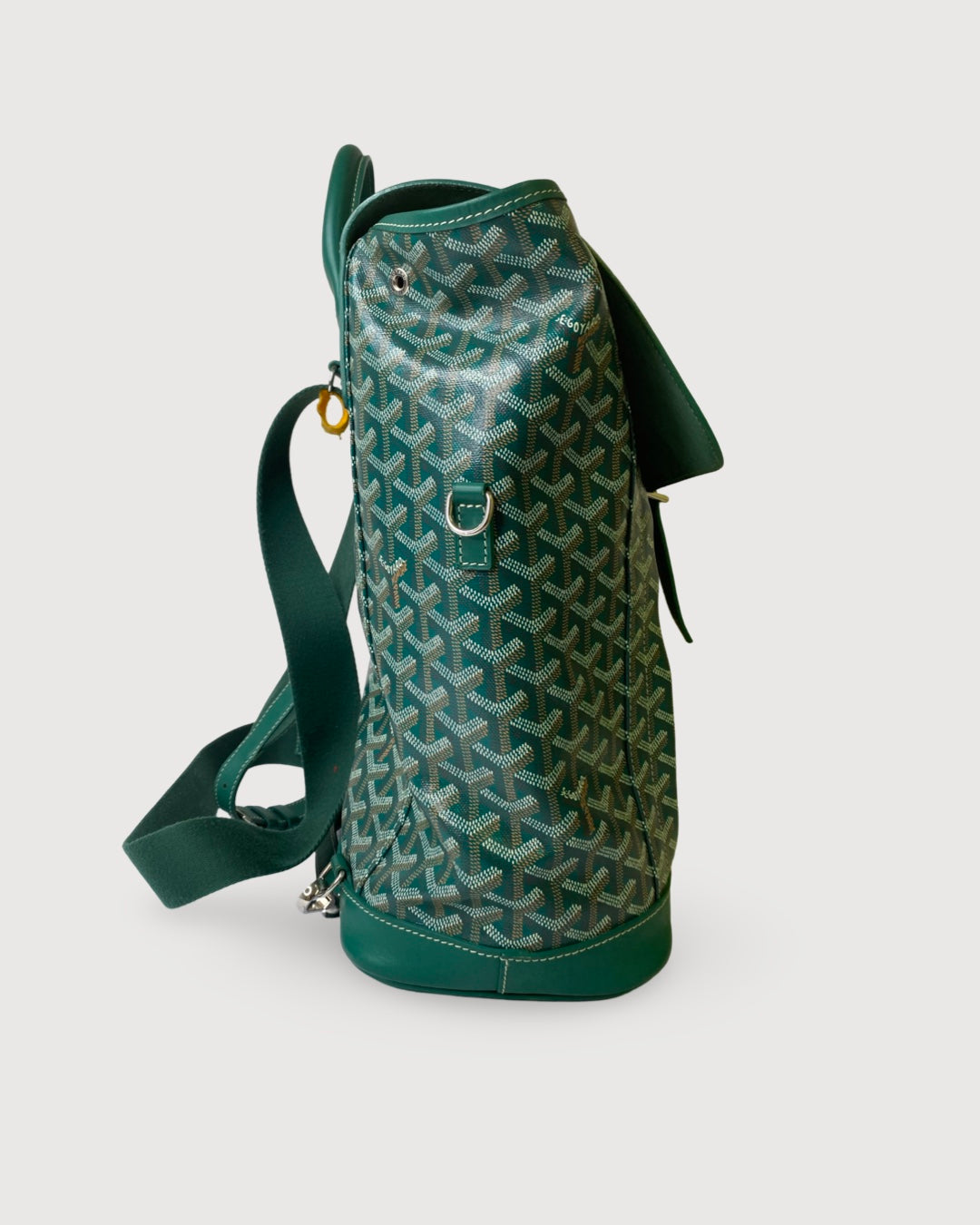 Goyard Rucksack Green