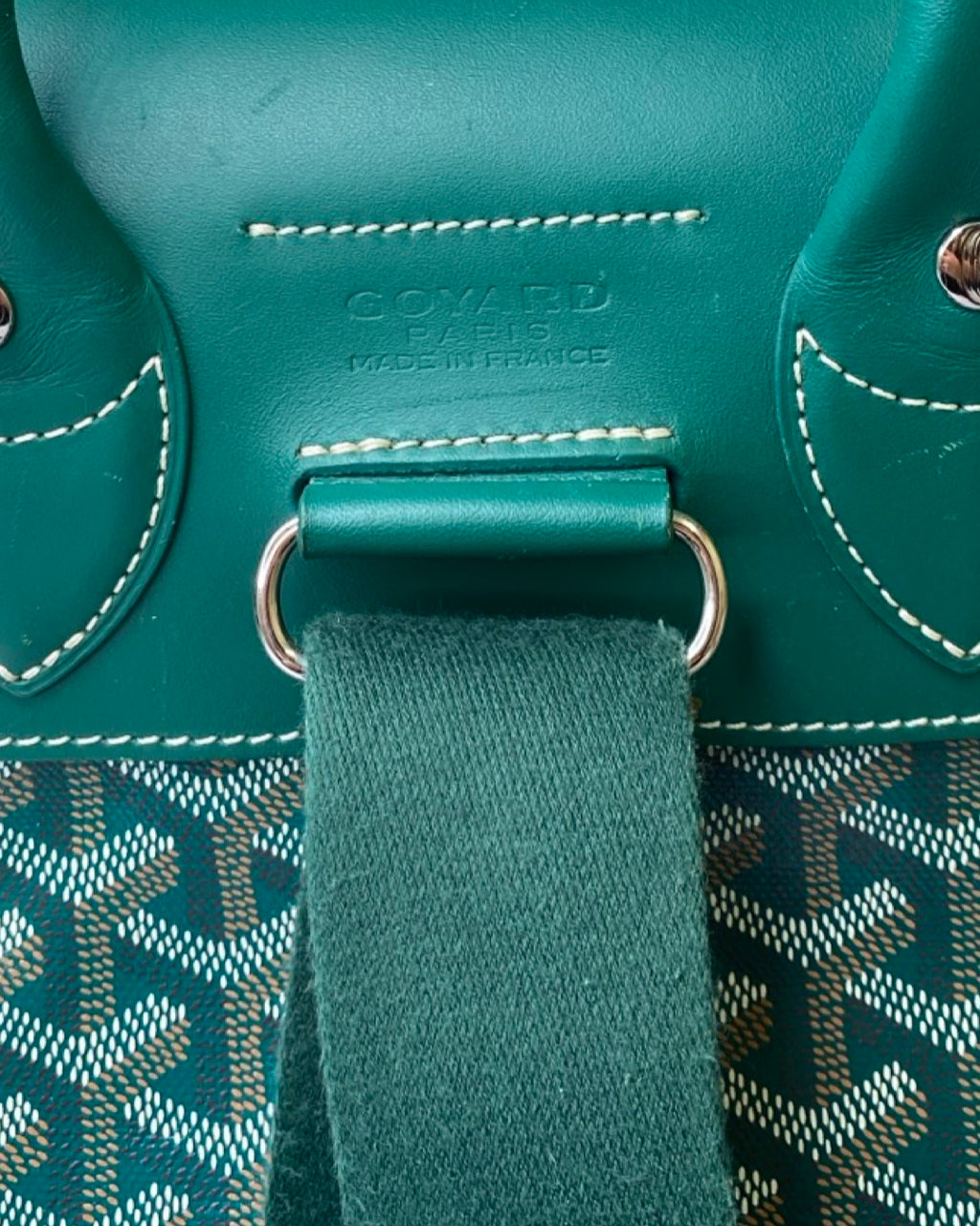 Goyard Rucksack Green
