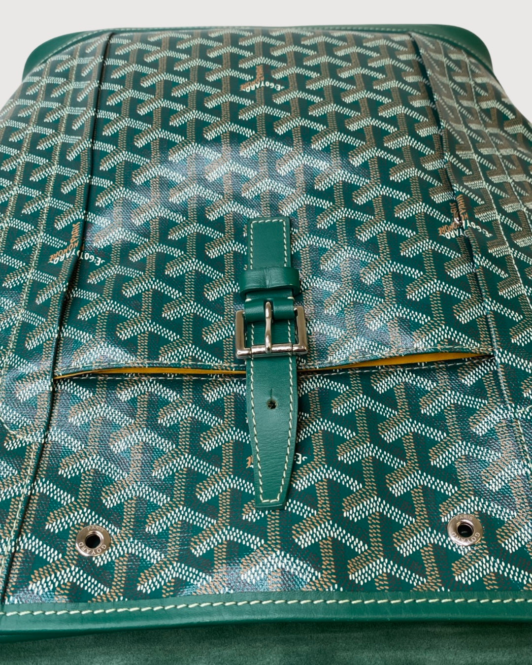 Goyard Rucksack Green