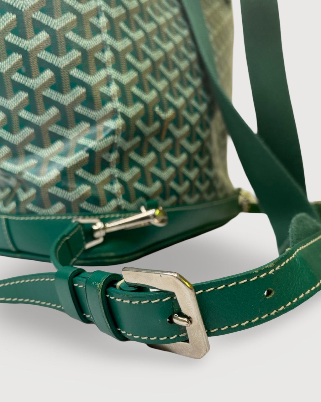 Goyard Rucksack Green