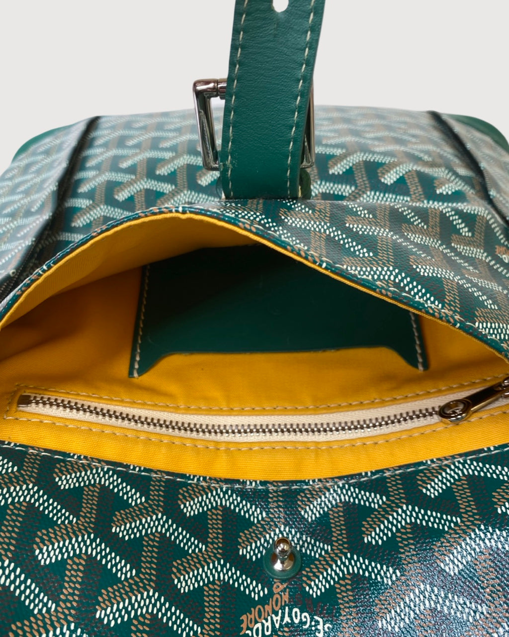 Goyard Rucksack Green