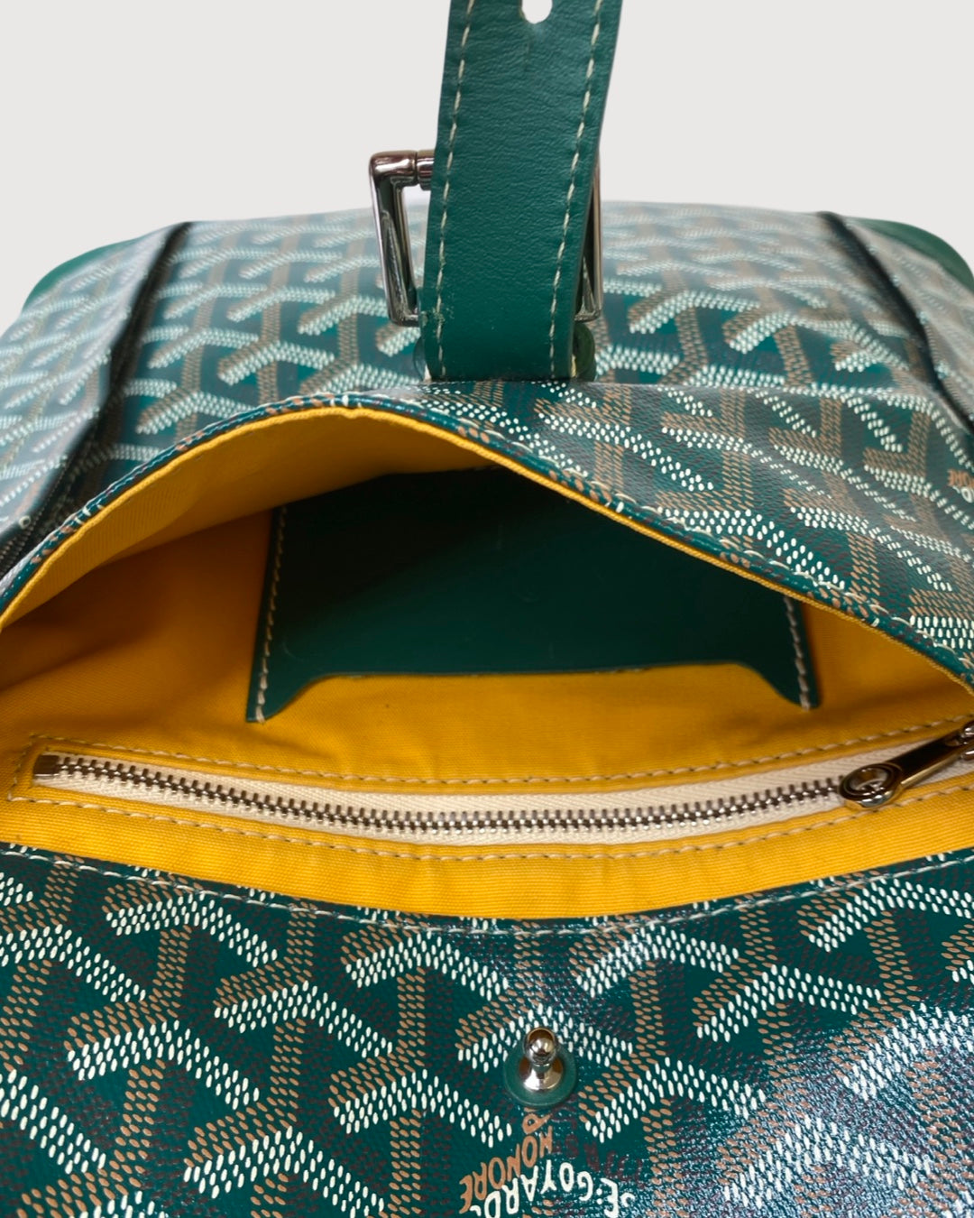 Goyard Rucksack Green
